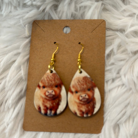 Teardrop Earrings